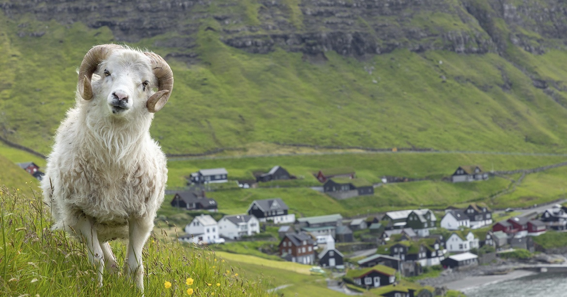 Foredrag: Færøerne i ord og billeder (i Flensborg)