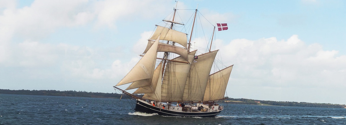 Sejlture på Aarhus-bugten med skonnerten Maja