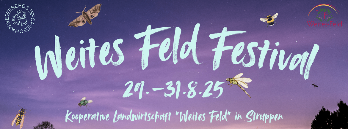 XX Weites Feld Festival (Sternenhof Struppen)