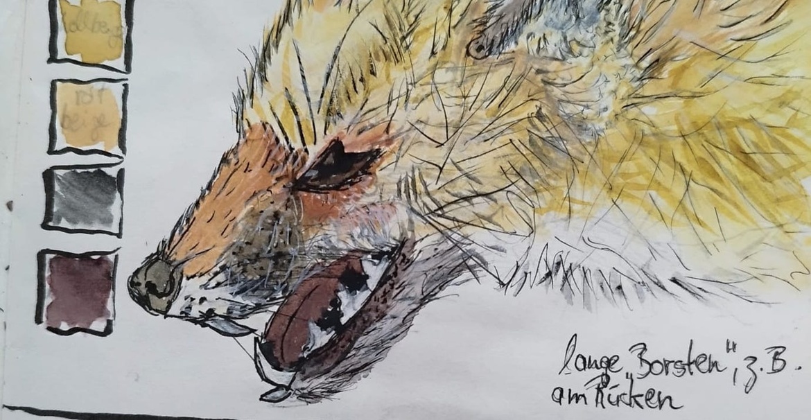 Einführung ins Nature Journaling - Workshop