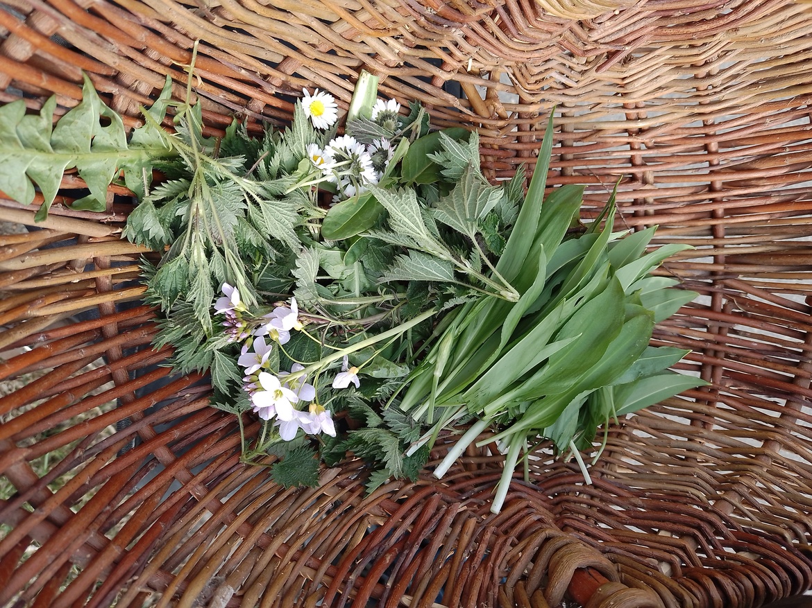 Sommersonnenwende und ihre Kräuter & Menü