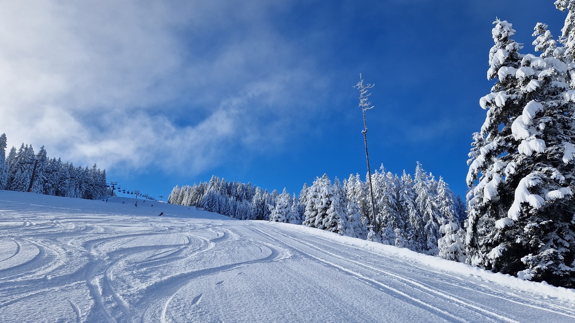 Busbuchung - Tagesfahrer 2025/2026
