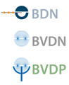 BDN - Neuro Workshop online 13.12.2025