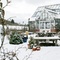 Ticket - Rosenpflege im Winter