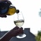 Wine & Colours – Kreativer Genussabend (25.07.26)