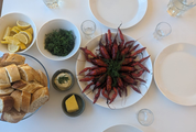 Host(ile) Lands Cooking programme