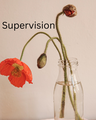 Supervision