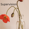 Supervision