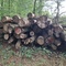 9,09 Fm o.R. Buche - Holzpaket 149411/13