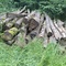 8,33 Fm o.R. Buche - Holzpaket 149390/93 - E08°53 00.1 N50°53 14.2 Ziegeleiweg/Abzweig