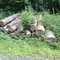 8,17 Fm o.R. Buche - Holzpaket 149390/95 - E08°52 59.7 N50°53 14.6 Ziegeleiweg/Abzweig