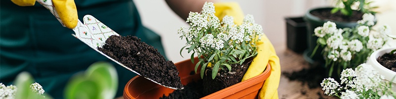 Ihre Volksbank Mitgliederabend im Raiffeisen Markt