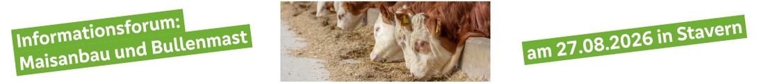Informationsforum: Maisanbau und Bullenmast