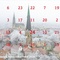 Billerbecker Adventskalender 2026