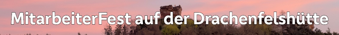 MitarbeiterFest