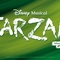 Fahrt und Eintritt in Disneys Musical TARZAN
