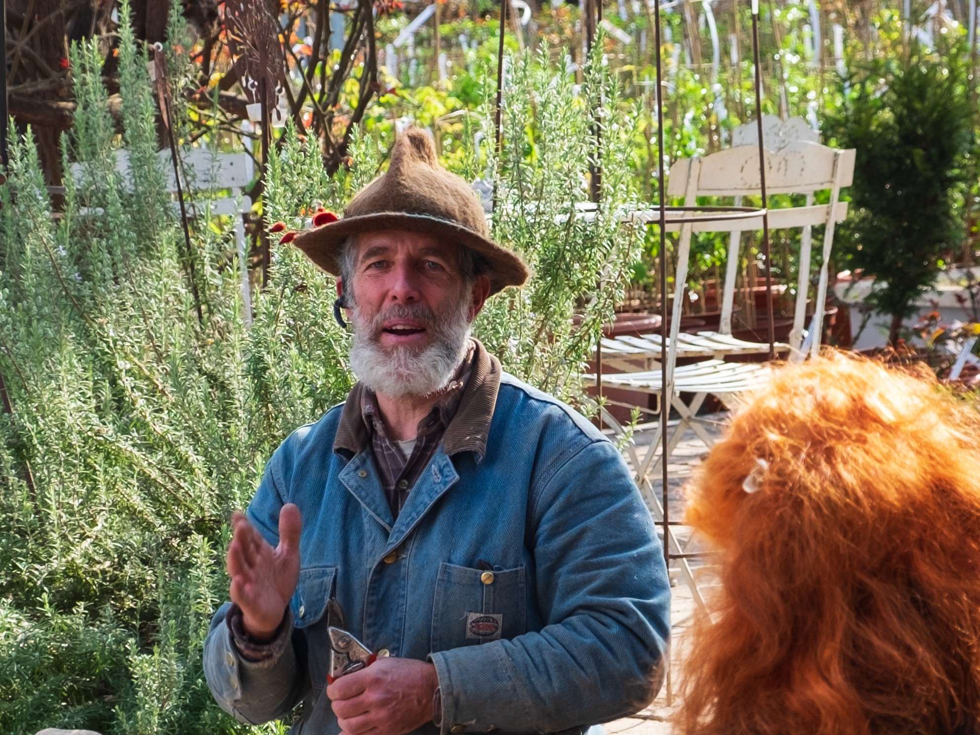 Rosenpflege für Einsteiger 10.4.
