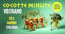 COCOTTE MINUTE + VOJTAANO