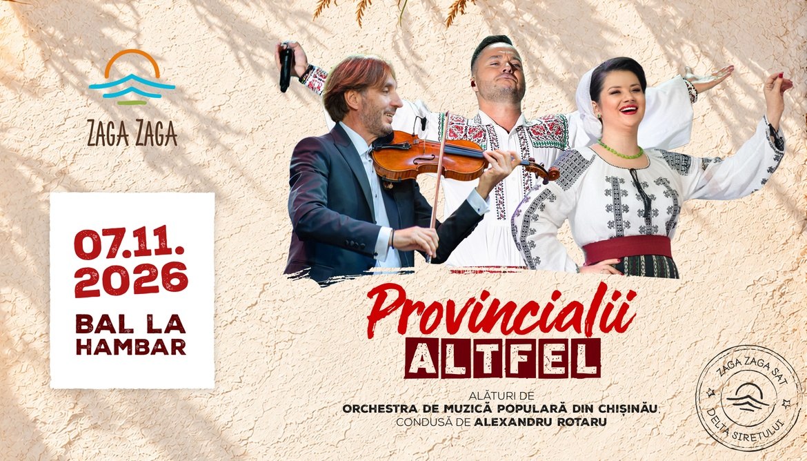 Concert PROVINCIALII - Altfel