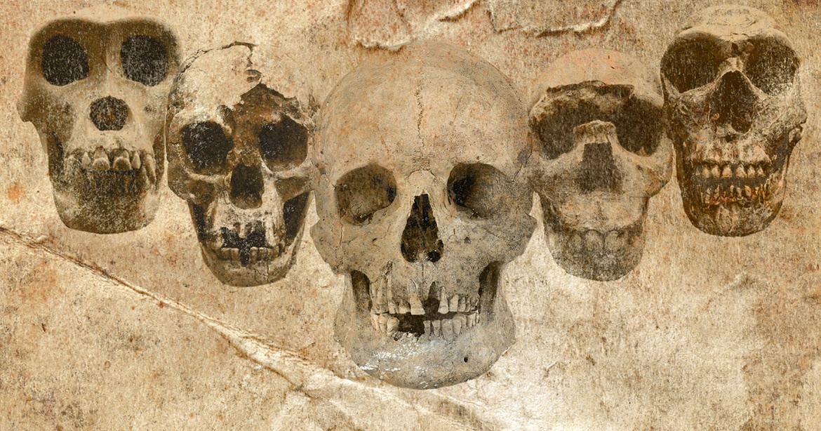 Foredrag | Livestream: DNA og fossiler udvider vores stamtræ (i Flensborg)