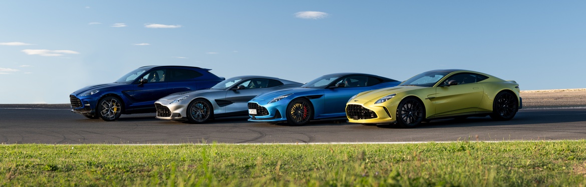 ASTON MARTIN SCHWARZWALD DRIVING EXPERIENCE