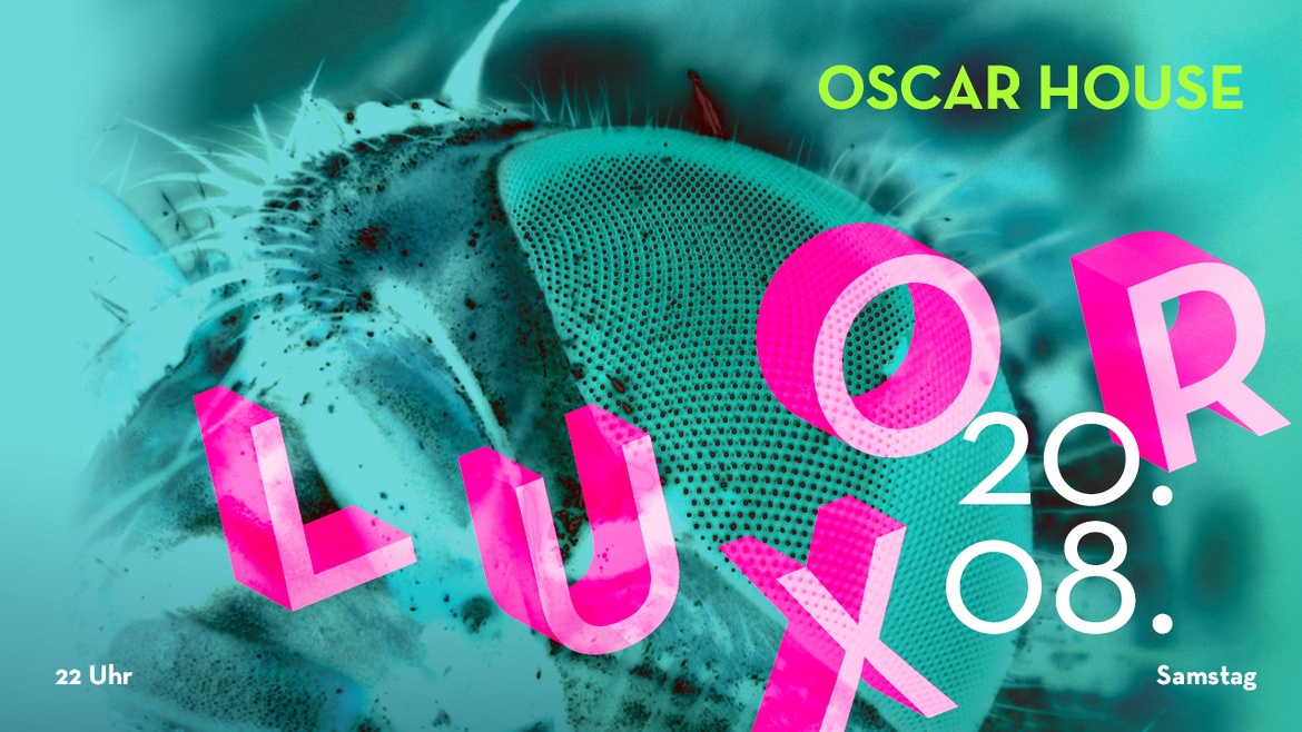Luxor Party
