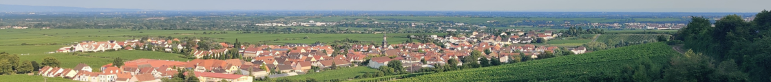 Weinwanderungen Kallstadt
