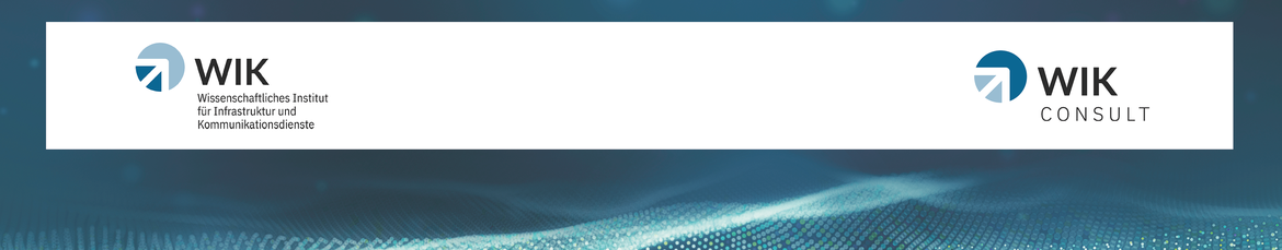 WIK Open Internet study workshop