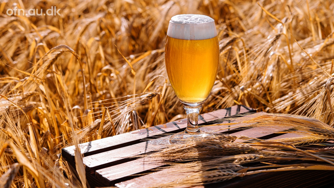 Foredrag | Livestream: Videnskaben bag øl (i Flensborg)