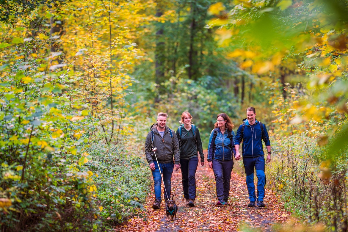 Gasthaus Brauner Hirsch: Wandern und Schlemmen
