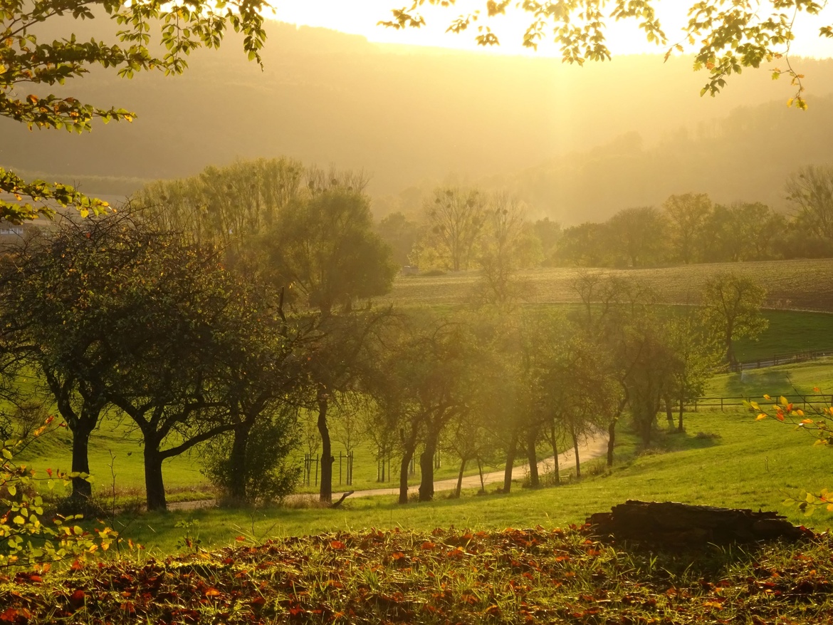 Herbstwanderung rund um den Rinderstall