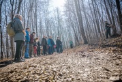 Herbstwanderung im Naturerbewald Blankenburg