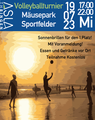 Volleyballturnier