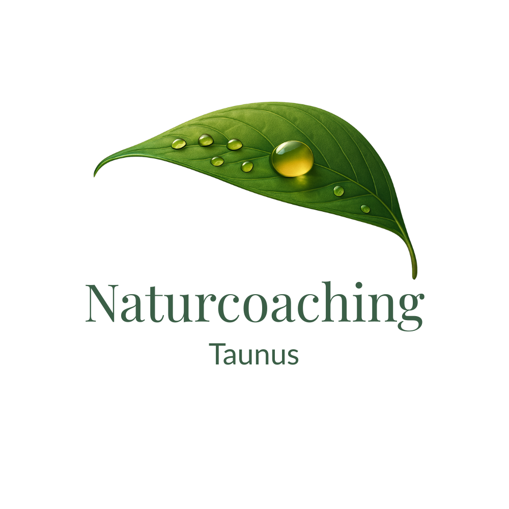 Die Heimkehr des Wanderers - Vom Suchen zum Sein