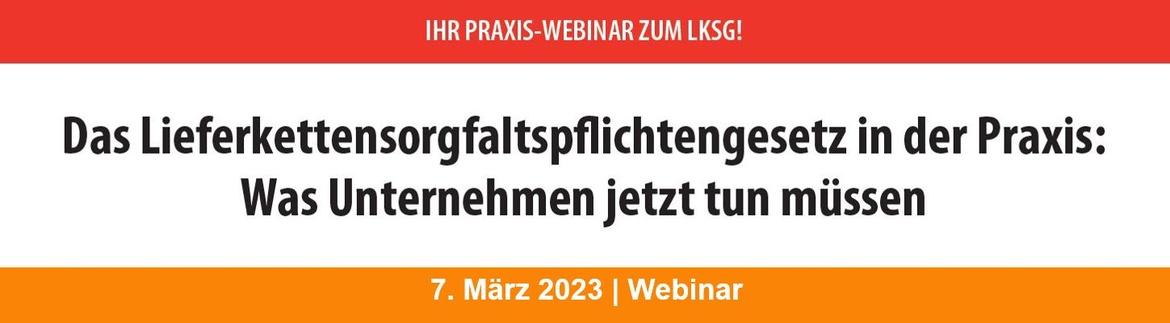 Das LkSG in der Praxis 2023