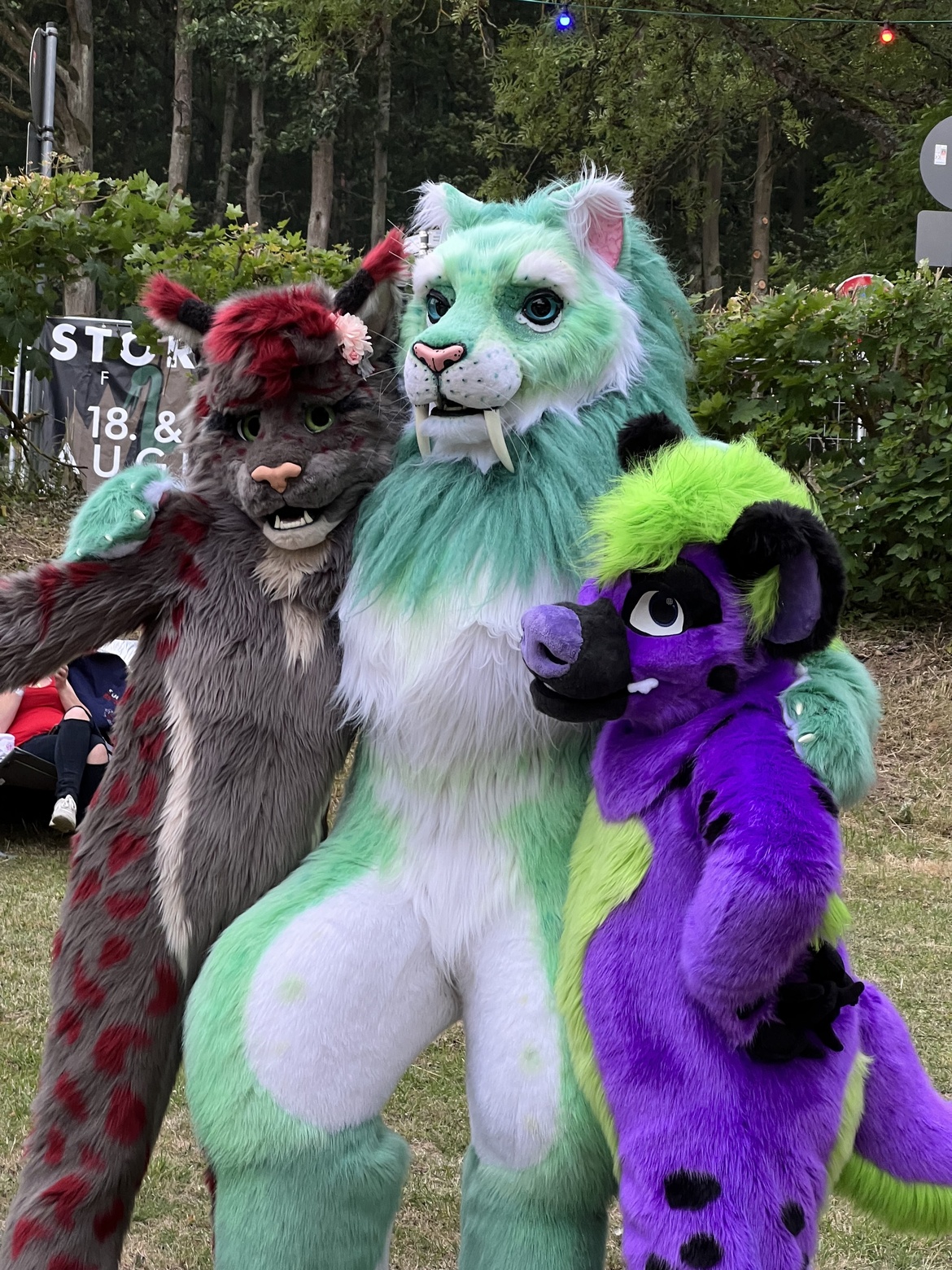 Seefest Frickenhausen 2025