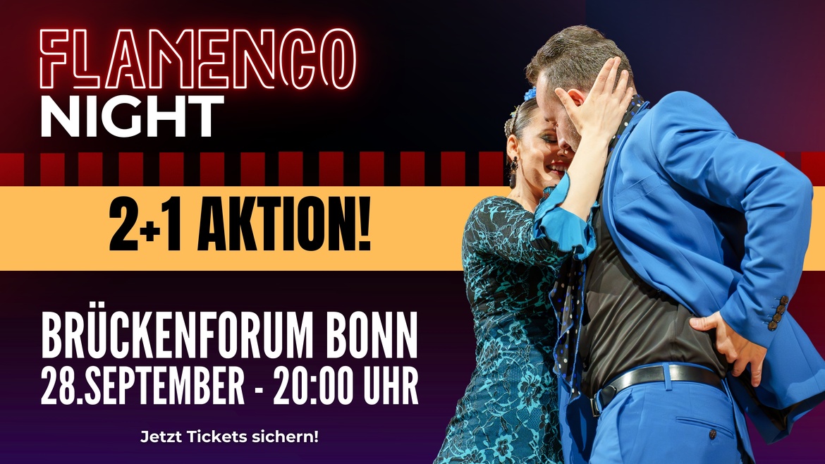Flamenco Night Bonn
