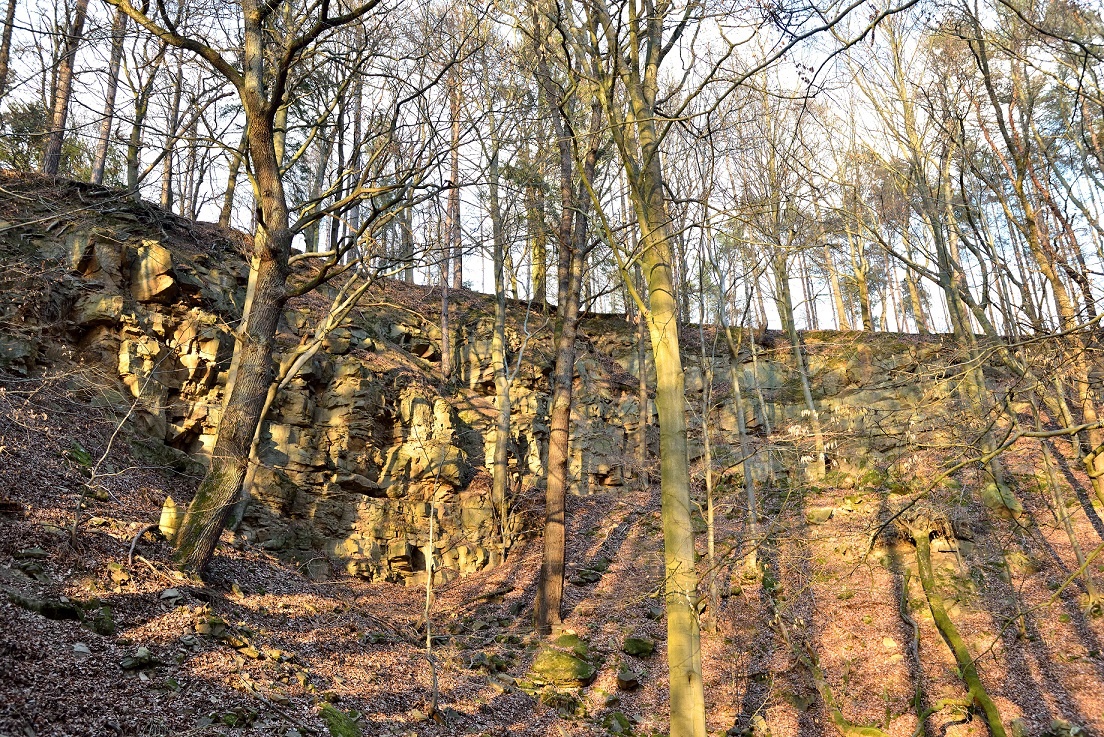Die Steinbrüche am Papenberg