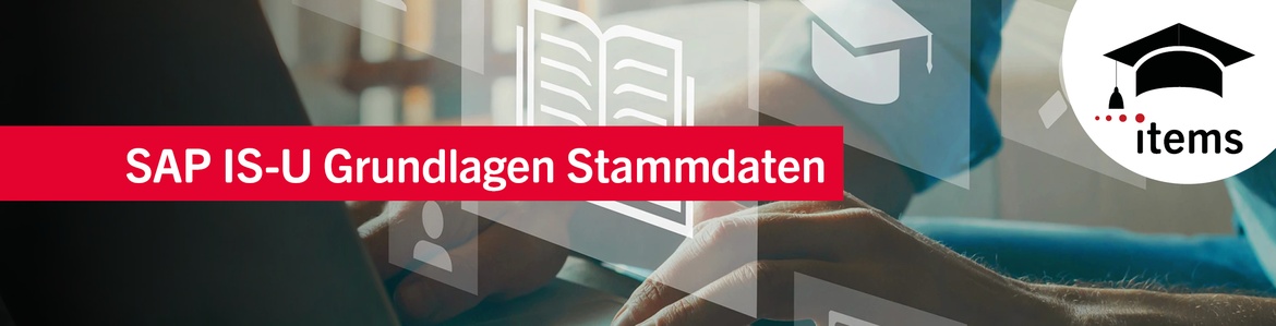 SAP IS-U Grundlagen Stammdaten Q4/26