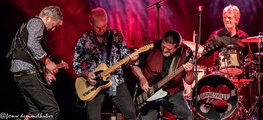 XX AUSFALL: Gainesville - A Tribute to Tom Petty