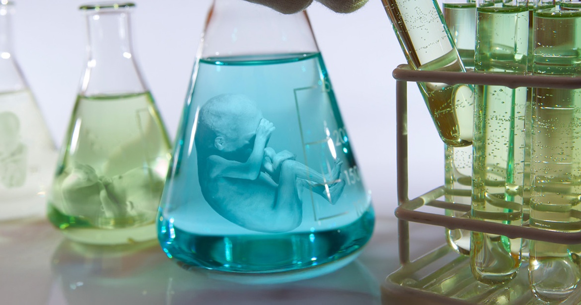 Foredrag | Livestream: Forædlingen af mennesket – før og nu (i Flensborg)