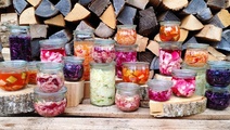 Erntedank - Gemüse & Obst fermentieren 17.10.2025