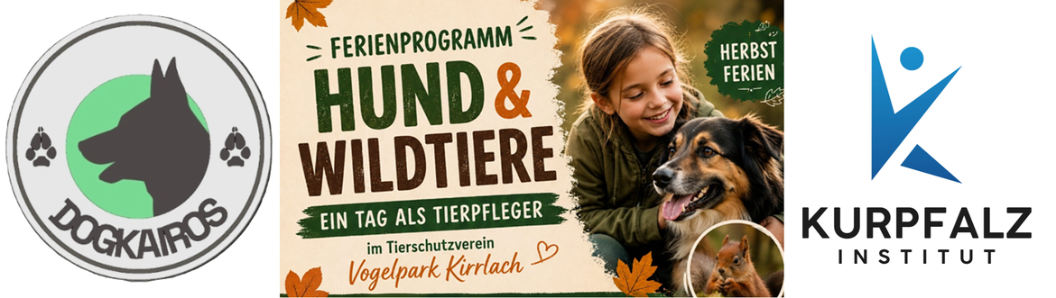 Ferienprogramm: Tiere und Natur