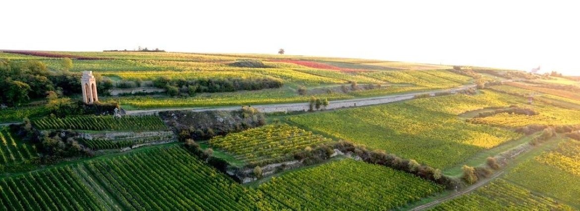 WEINGUT SCHWEDHEIM IN DER PFALZ