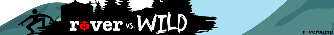 Rovercamp 2023 - rover vs. wild