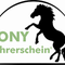 Ponyführerschein – Mein erster Ponykurs