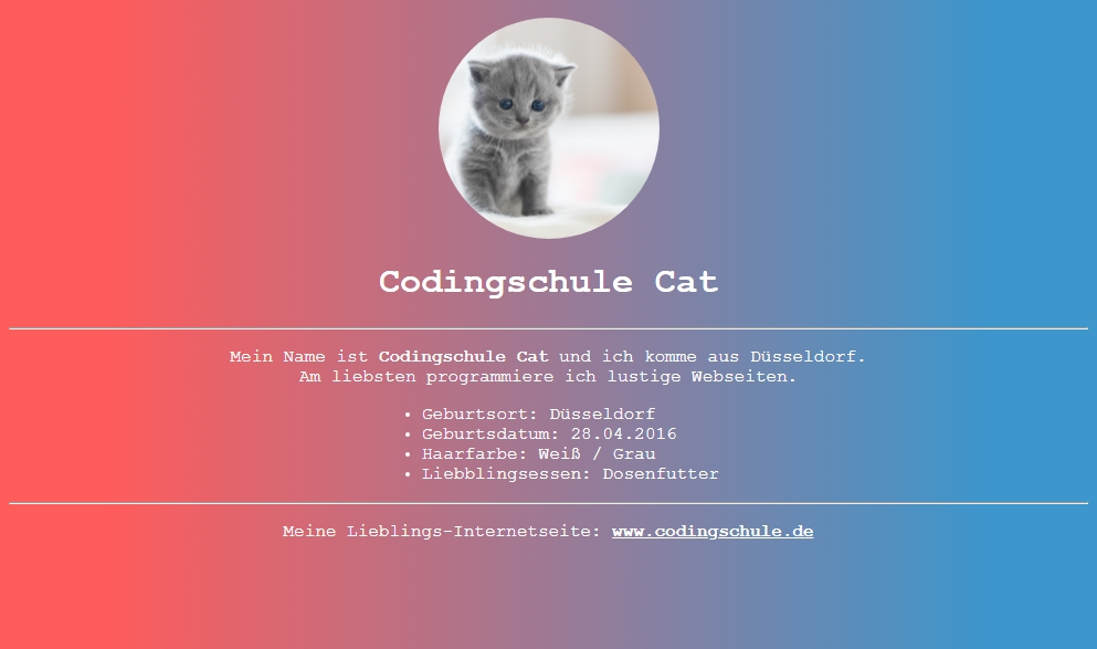 Webdesign für Anfänger (Meet & Code)