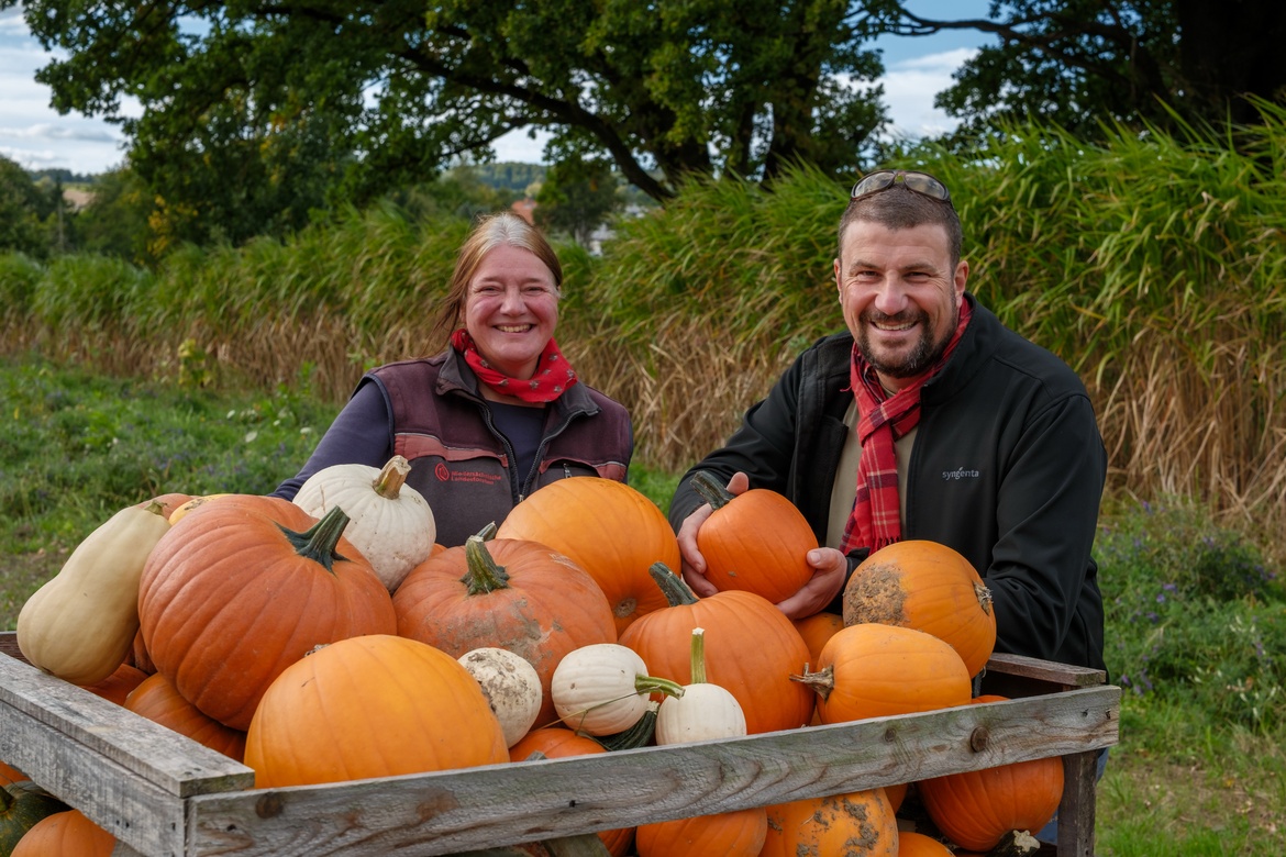 Kürbisvielfalt – ganz praktisch und kulinarisch