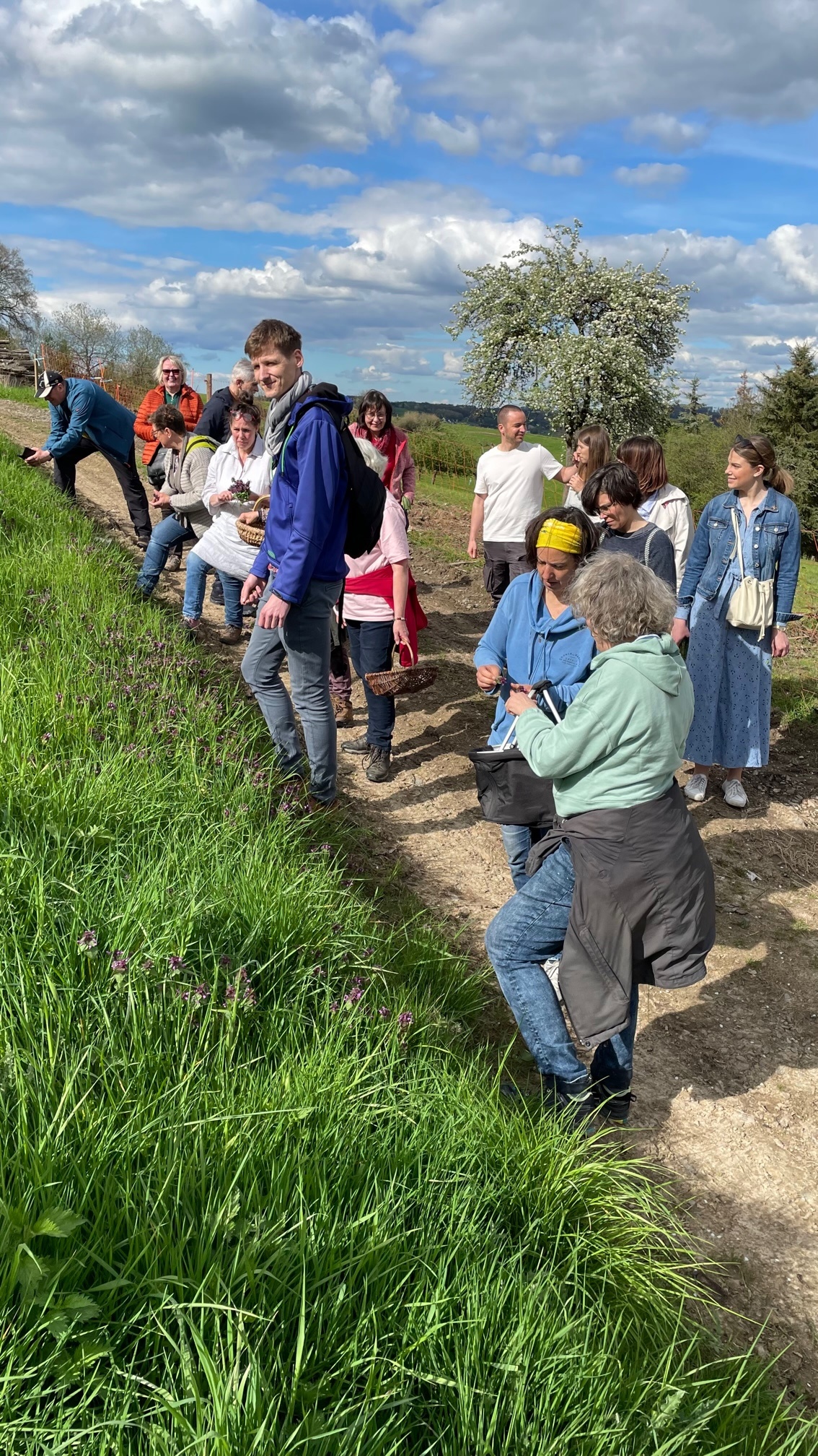 Kräuter-Rundtour im Mai- im Oberbergischen – rund ums Kräutercafé und 3 Gänge Menü