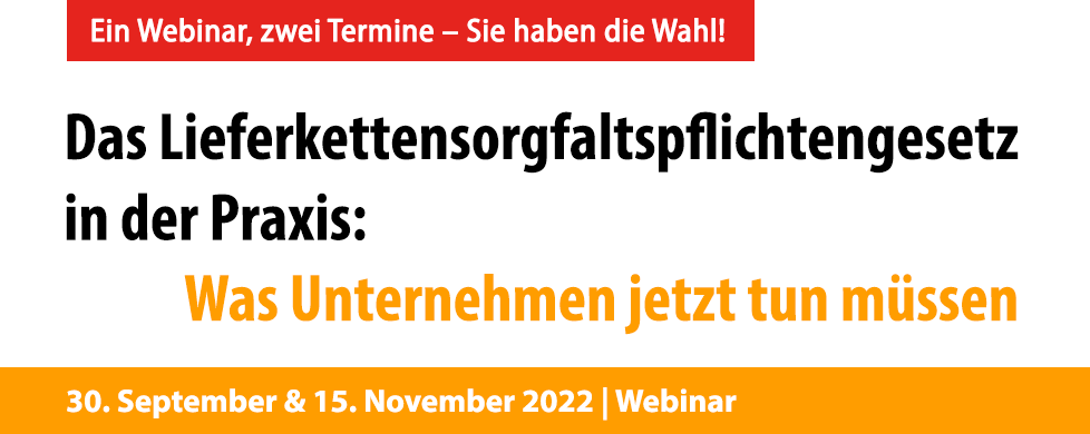 Das LkSG in der Praxis 2022